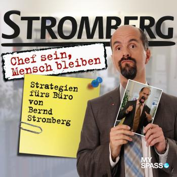 Читать Stromberg - Chef sein, Mensch bleiben - Ralf Husmann