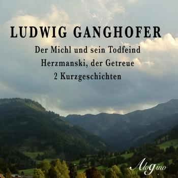 Читать Der Michl und sein Todfeind / Herzmanski der Getreue - Ludwig  Ganghofer