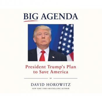 Читать Big Agenda - President Trump's Plan to Save America (Unabridged) - David Horowitz