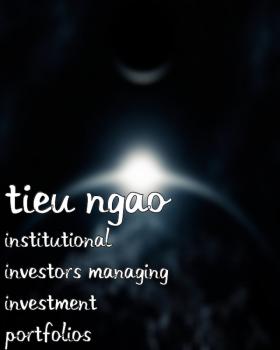 Читать Institutional Investors Managing Investment Portfolios - Tieu JD Ngao