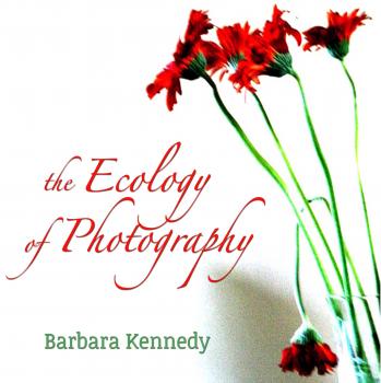 Читать The Ecology of Photography - Barbara Kennedy
