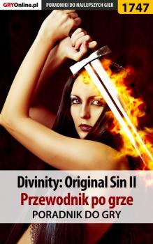 Читать Divinity Original Sin 2 - Agnieszka Adamus «aadamus»