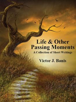 Читать Life & Other Passing Moments - Victor J. Banis