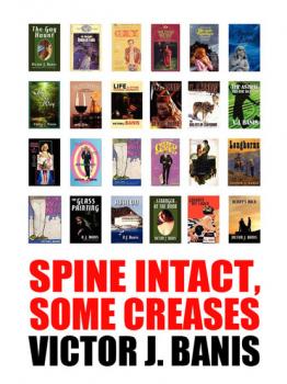 Читать Spine Intact, Some Creases - Victor J. Banis