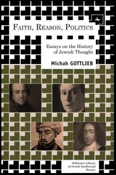 Читать Faith, Reason, Politics - Michah Gottlieb