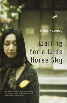 Читать Waiting for a Wide Horse Sky - Elaine Kennedy