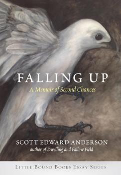 Читать Falling Up - Scott Edward Anderson