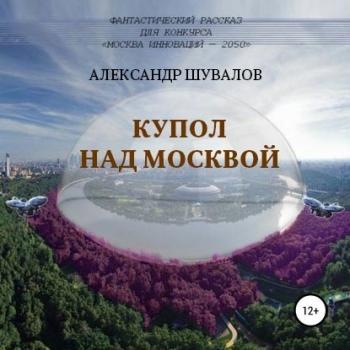 Читать Купол над Москвой - Александр Шувалов