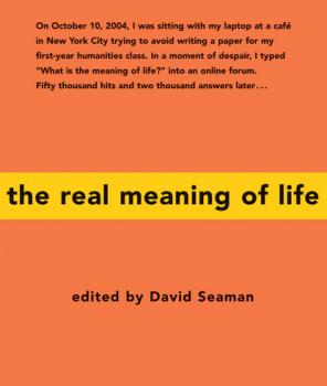 Читать The Real Meaning of Life - David Seaman