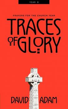 Читать Traces of Glory - David Adam
