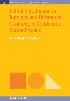 Читать A Brief Introduction to Topology and Differential Geometry in Condensed Matter Physics - Antonio Sergio Teixeira Pires