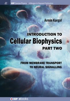 Читать Introduction to Cellular Biophysics, Volume 2 - Armin Kargol