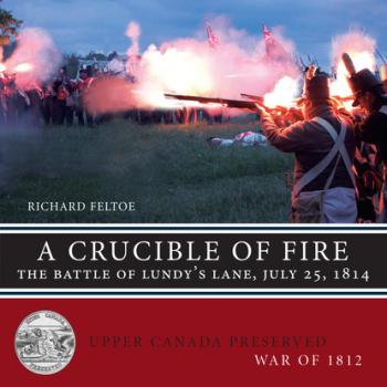 Читать A Crucible of Fire - Richard Feltoe