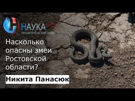 Читать Насколько опасны змеи Ростовской области - Никита Панасюк