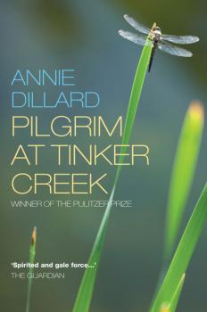 Читать Pilgrim at Tinker Creek - Annie Dillard
