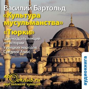 Читать Культура мусульманства и Тюрки - Василий Бартольд