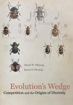 Читать Evolution's Wedge - David Pfennig