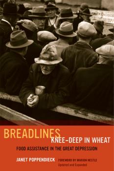 Читать Breadlines Knee-Deep in Wheat - Janet Poppendieck