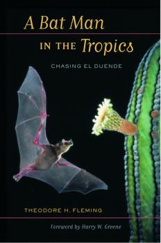 Читать A Bat Man in the Tropics - Theodore Fleming