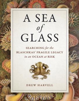 Читать A Sea of Glass - Drew Harvell