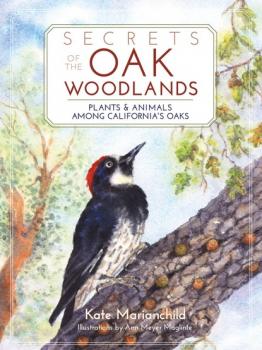 Читать Secrets of the Oak Woodlands - Kate Marianchild