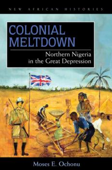 Читать Colonial Meltdown - Moses E. Ochonu