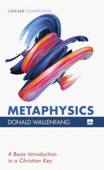 Читать Metaphysics - Donald Wallenfang