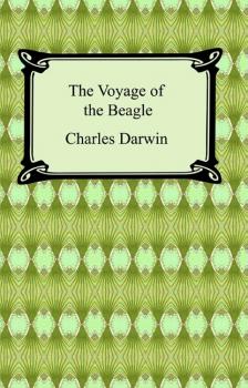 Читать The Voyage of the Beagle - Чарльз Дарвин