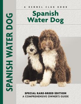 Читать Spanish Water Dog - Cristina Desarnaud