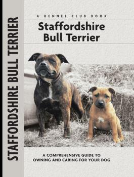 Читать Staffordshire Bull Terrier - Jane Hogg Frome