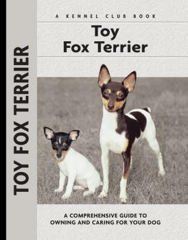 Читать Toy Fox Terrier - Richard G. Beauchamp