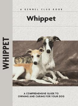 Читать Whippet - Juliette Cunliffe