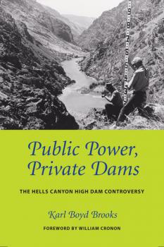 Читать Public Power, Private Dams - Karl Boyd Brooks