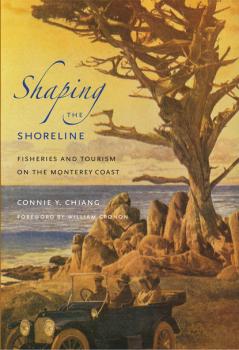 Читать Shaping the Shoreline - Connie Y. Chiang