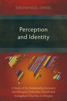 Читать Perception and Identity - Seblewengel Daniel
