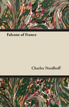 Читать Falcons of France - Charles Nordhoff