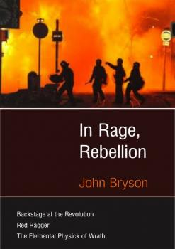 Читать In Rage, Rebellion - John Bryson
