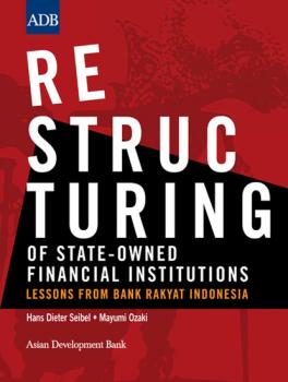 Читать Restructuring of State-Owned Financial Institutions - Hans Dieter Seibel