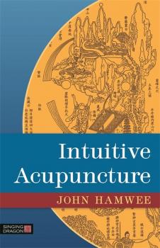 Читать Intuitive Acupuncture - John Hamwee