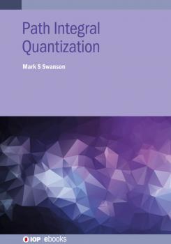 Читать Path Integral Quantization - Mark S Swanson