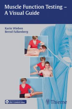 Читать Muscle Function Testing - A Visual Guide - Karin Wieben