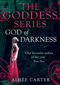 Читать God of Darkness - Aimee  Carter