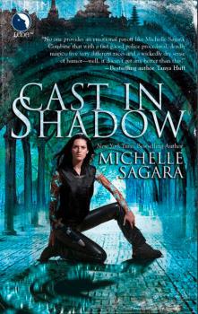 Читать Cast In Shadow - Michelle  Sagara