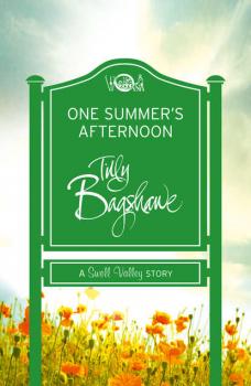 Читать One Summer’s Afternoon: A perfect summer treat! - Тилли Бэгшоу