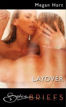 Читать Layover - Megan Hart