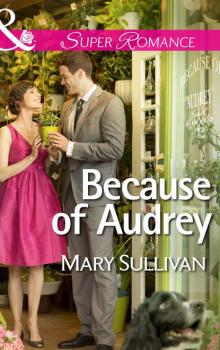Читать Because of Audrey - Mary  Sullivan
