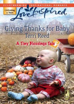 Читать Giving Thanks for Baby - Terri  Reed
