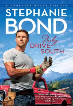 Читать Baby, Drive South - Stephanie  Bond