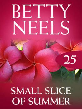 Читать Small Slice of Summer - Бетти Нилс
