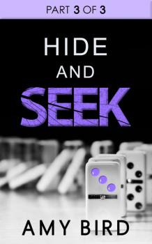 Читать Hide And Seek - Amy  Bird